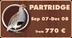 Partridges hunting in Belarus