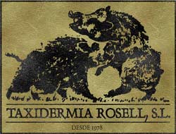 Taxidermia Rosell es una empresa dedicada al arte-oficio de la naturalizacion de animales