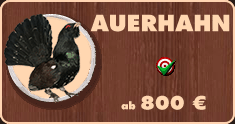 Auerhahnjagd