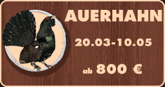 Auerhahnjagd