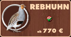 Rebhunjagd