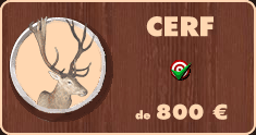 Chasse au cerf en Bielorussie