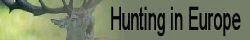 Hunting for Red Stag, Wild Boar, Roe Deer in Poland. Information about Hunting trips and trophies in Europe.